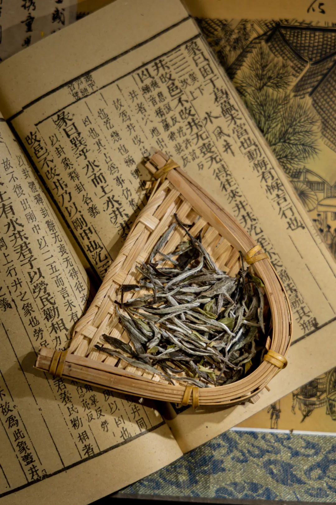 白茶与富硒茶哪个好喝
