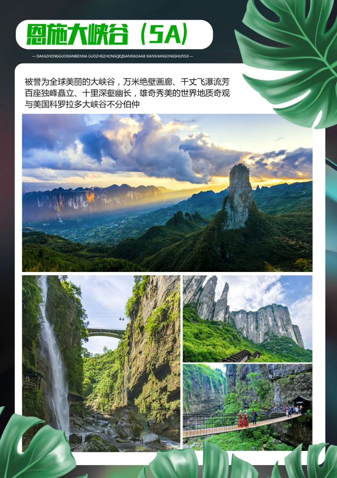 有名的恩施富硒茶价格