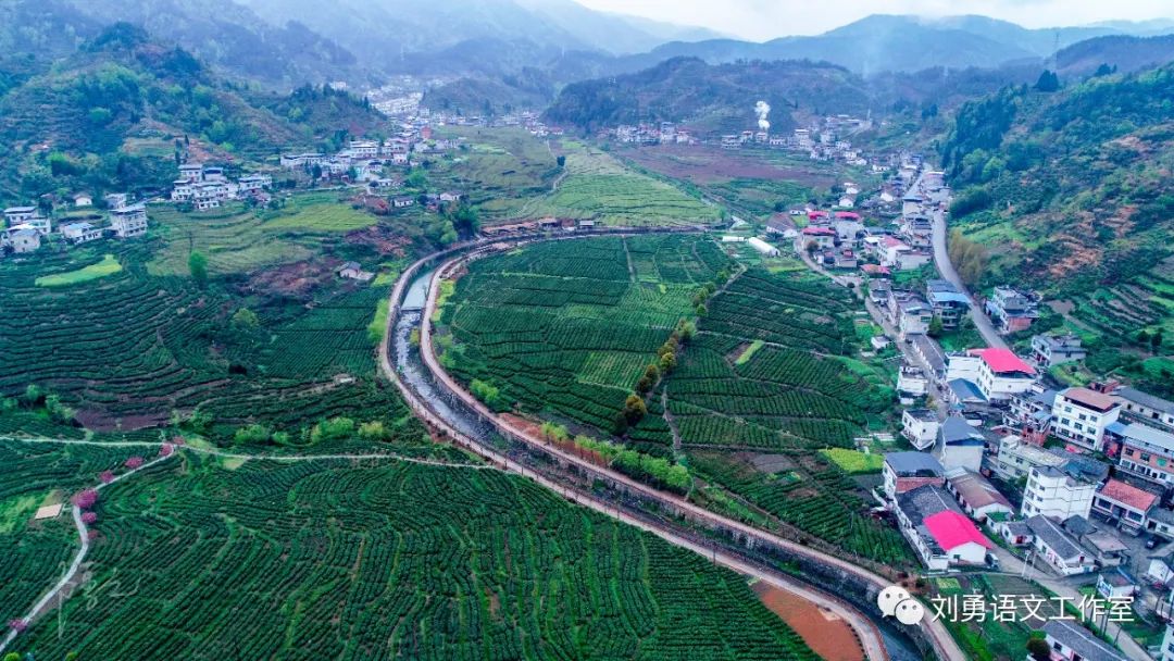 紫阳富硒茶济南哪儿卖