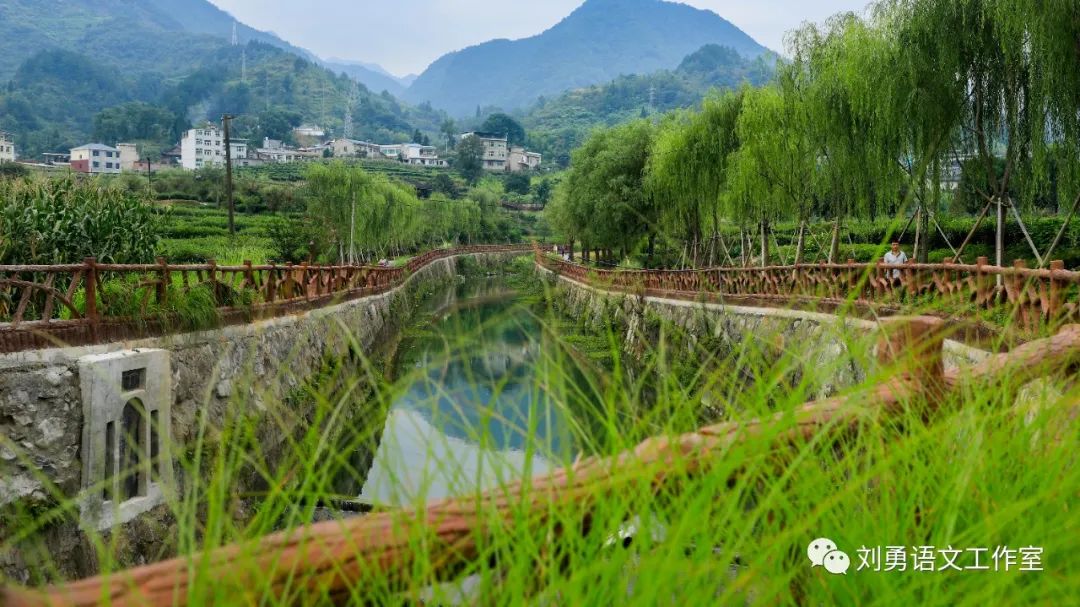 紫阳富硒茶济南哪儿卖