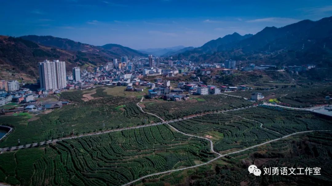 紫阳富硒茶济南哪儿卖