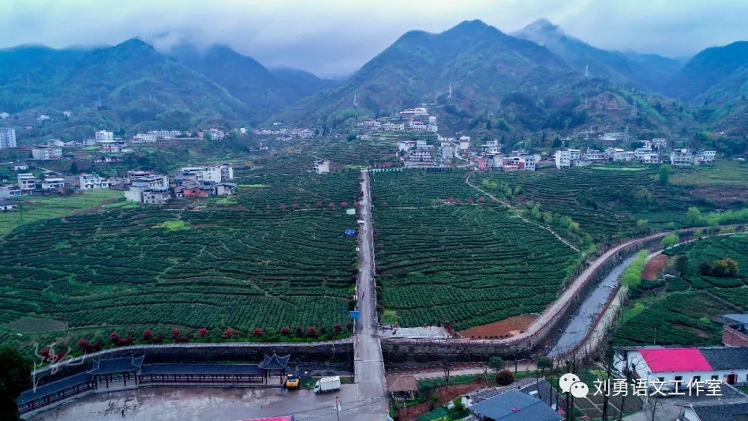 紫阳富硒茶济南哪儿卖