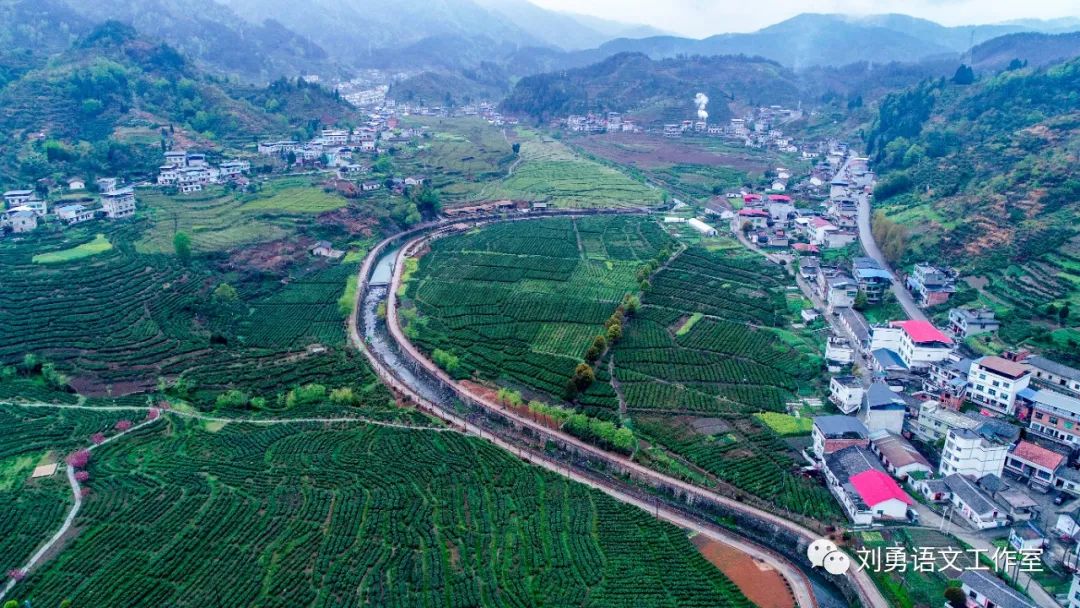 紫阳富硒茶济南哪儿卖