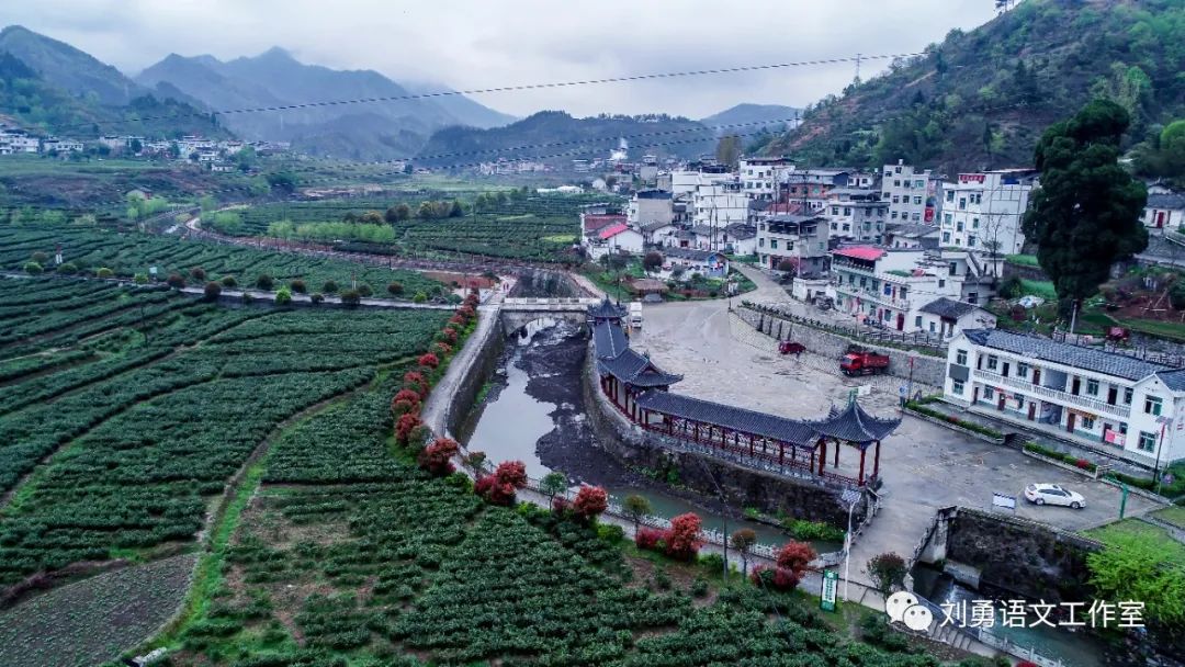 紫阳富硒茶济南哪儿卖