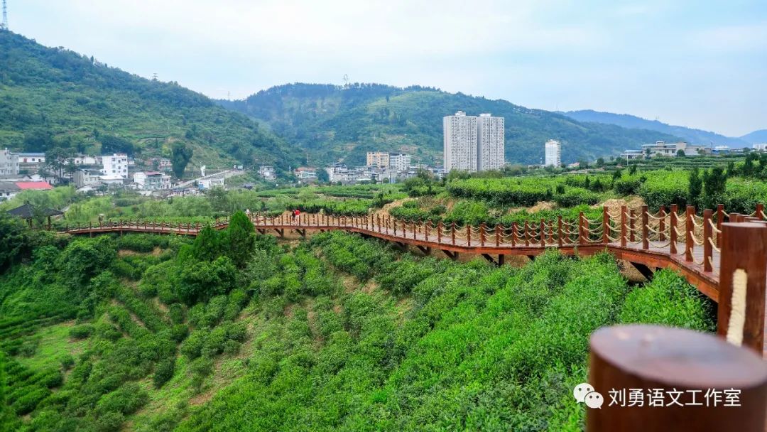 紫阳富硒茶济南哪儿卖