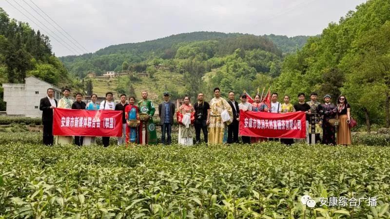 紫阳富硒茶济南哪儿卖