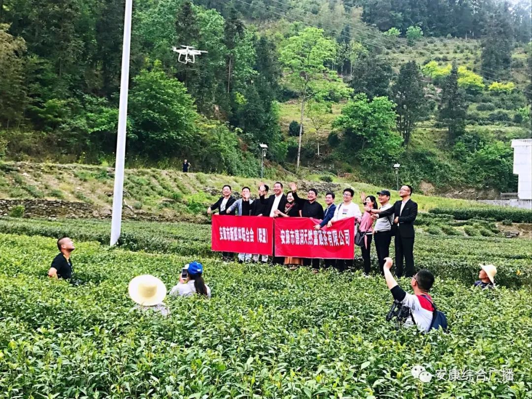 紫阳富硒茶济南哪儿卖