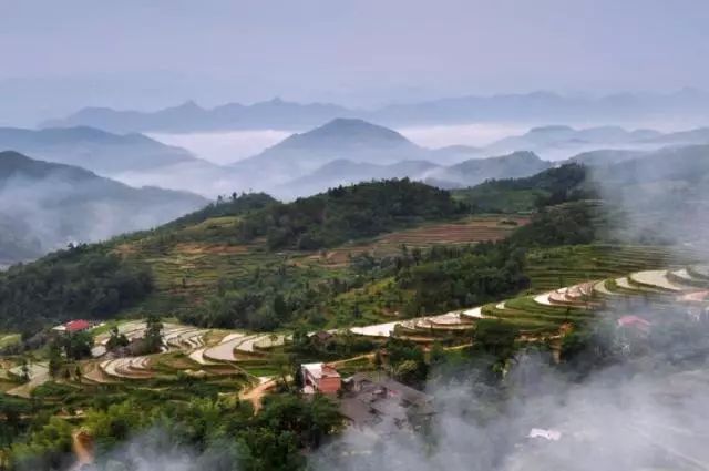 陕西紫阳富硒茶品天下