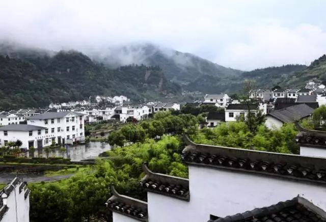 陕西紫阳富硒茶品天下