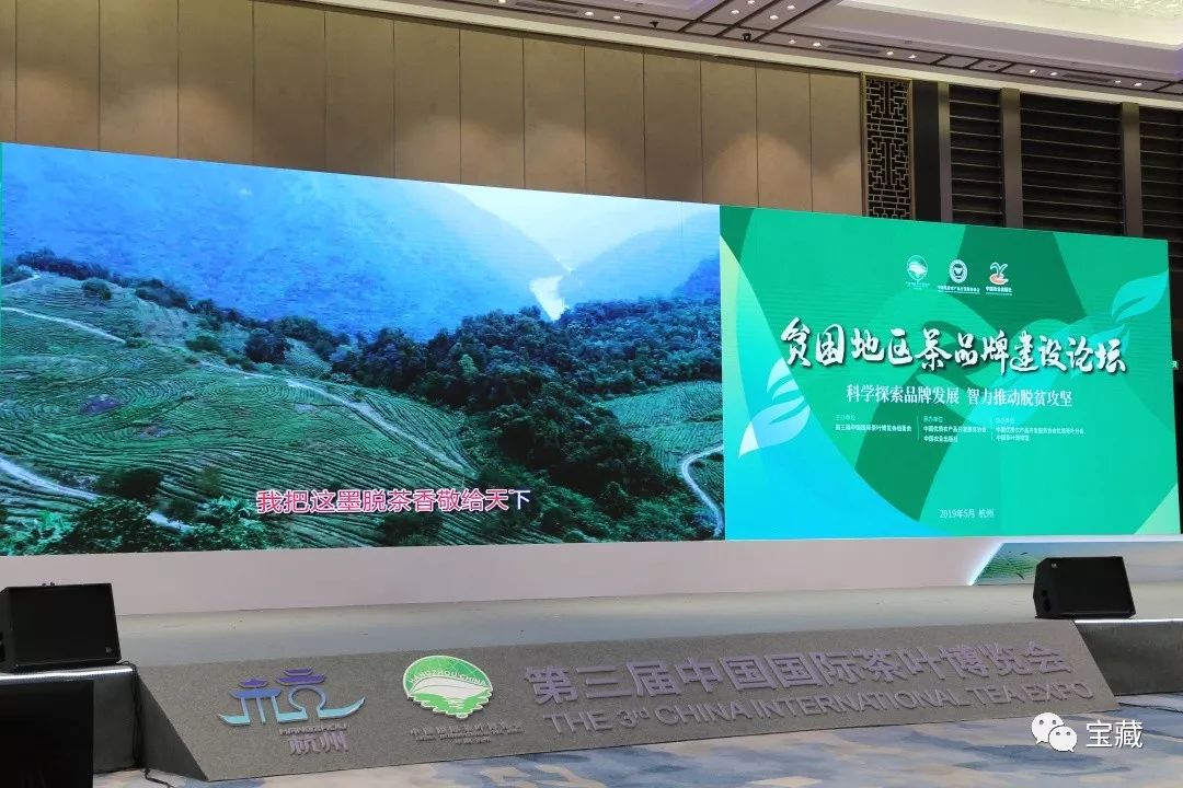 富硒藤茶和啥茶搭配好