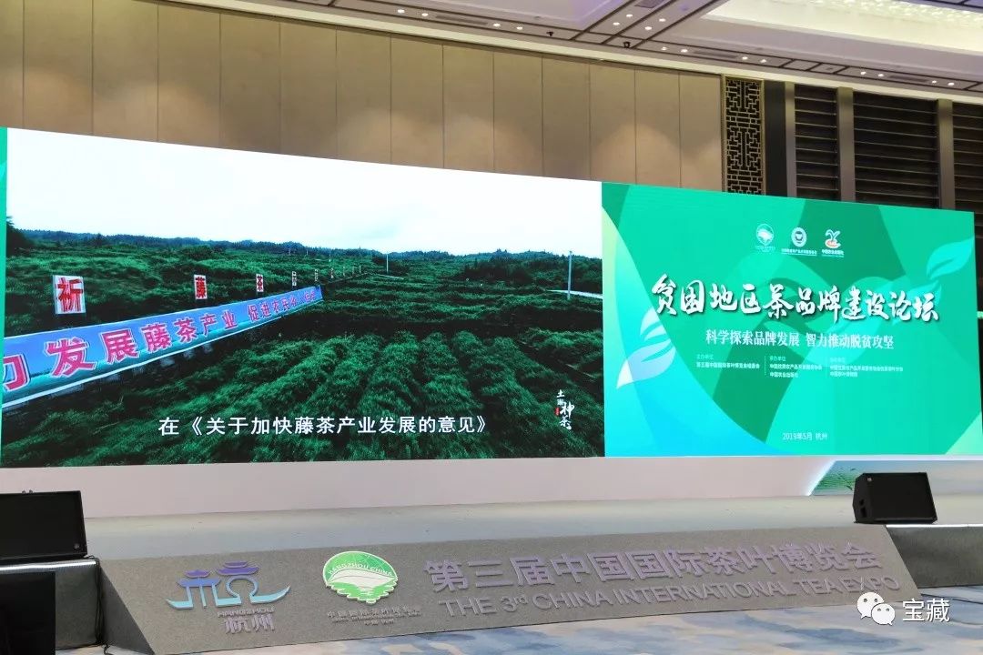 富硒藤茶和啥茶搭配好