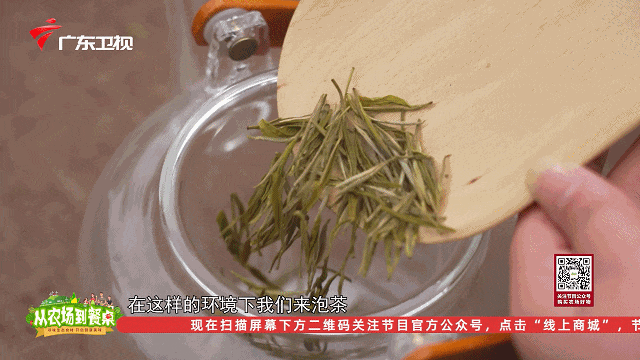 肝不好能喝富硒茶绿茶