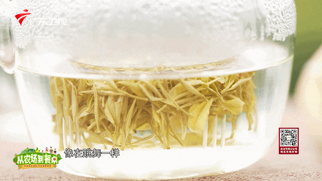 肝不好能喝富硒茶绿茶