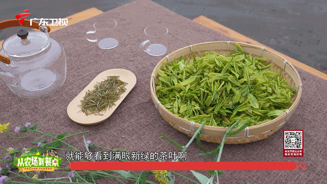肝不好能喝富硒茶绿茶