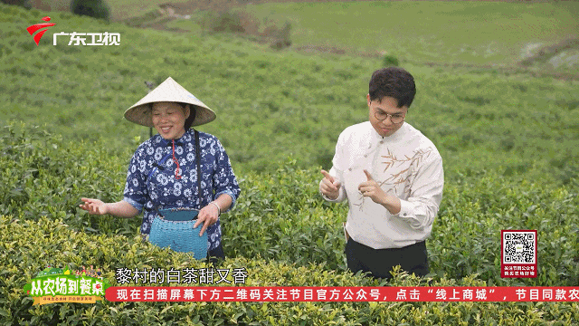 肝不好能喝富硒茶绿茶