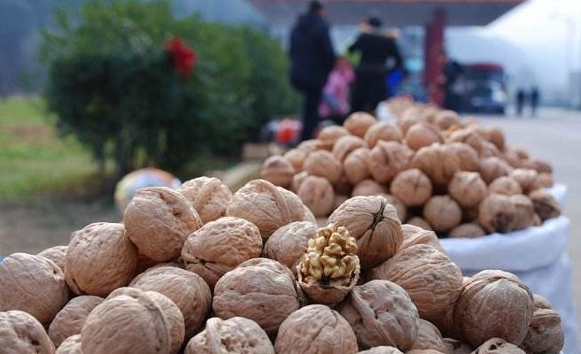 紫阳富硒茶给您拜年啦