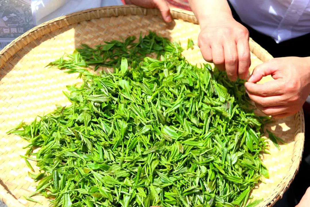 紫阳富硒茶给您拜年啦