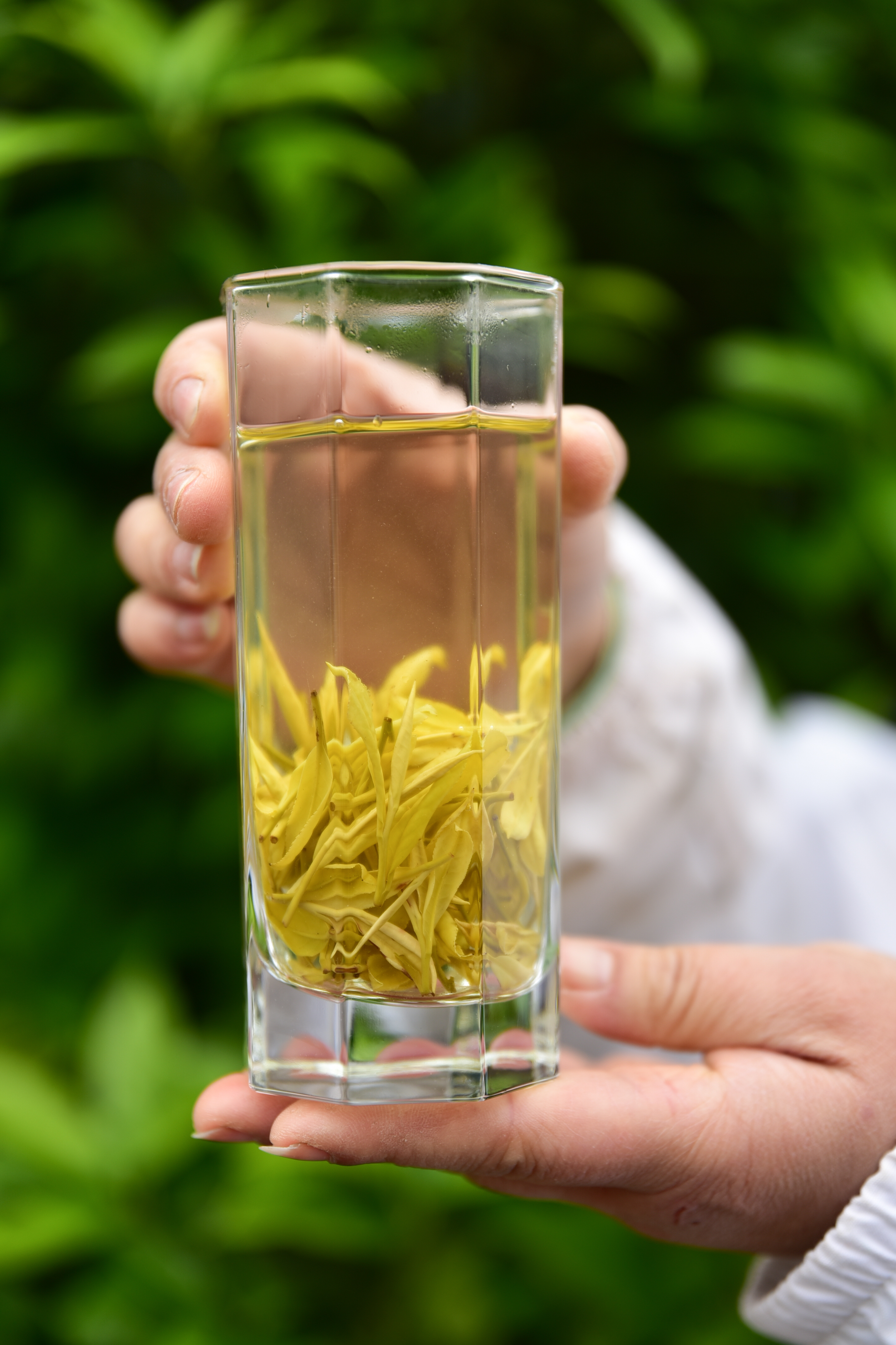 丹寨手工富硒茶多少钱