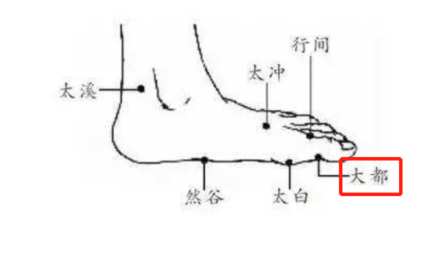 补钙吃什么