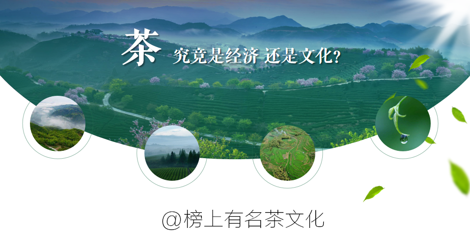 富硒绿茶和黄茶的区别