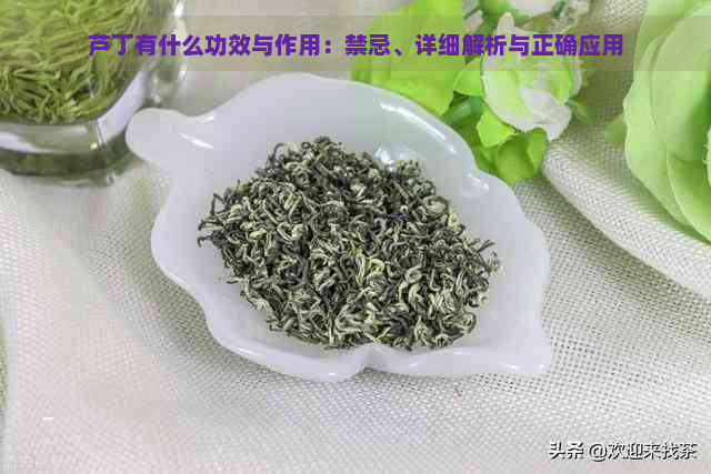芦丁有什么功效与作用：禁忌、详细解析与正确应用