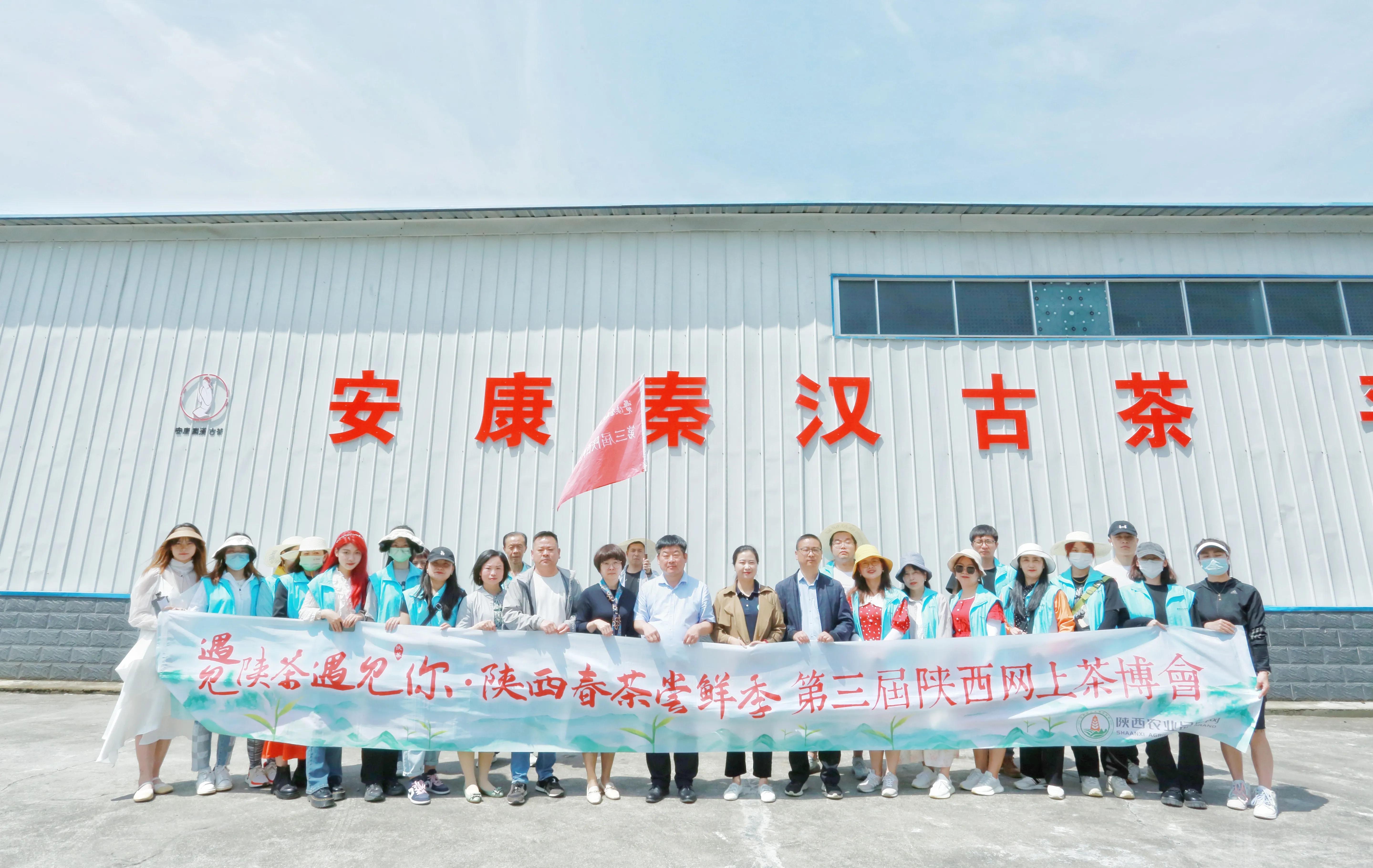 平利县富硒茶直播基地
