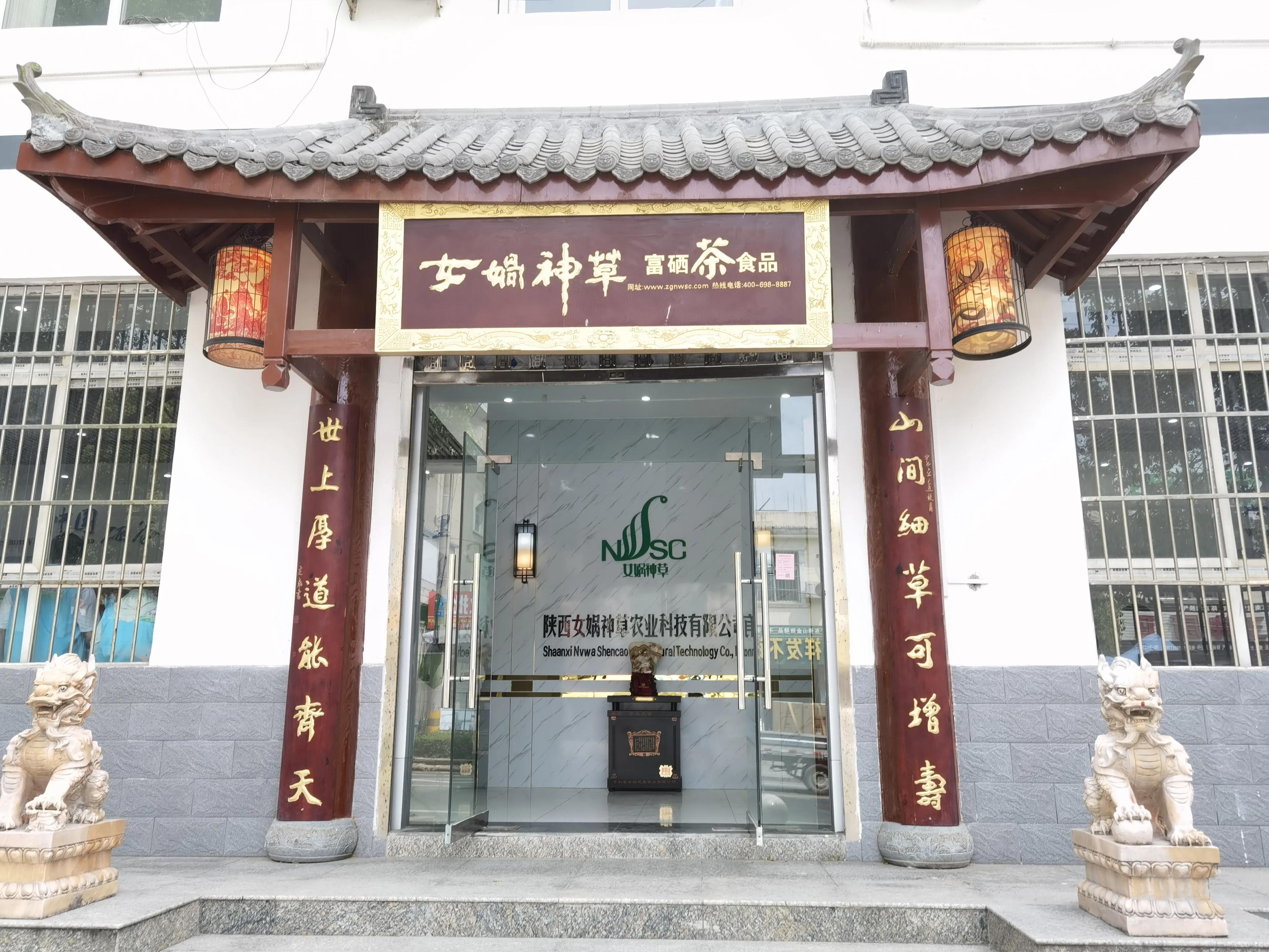 平利县富硒茶直播基地