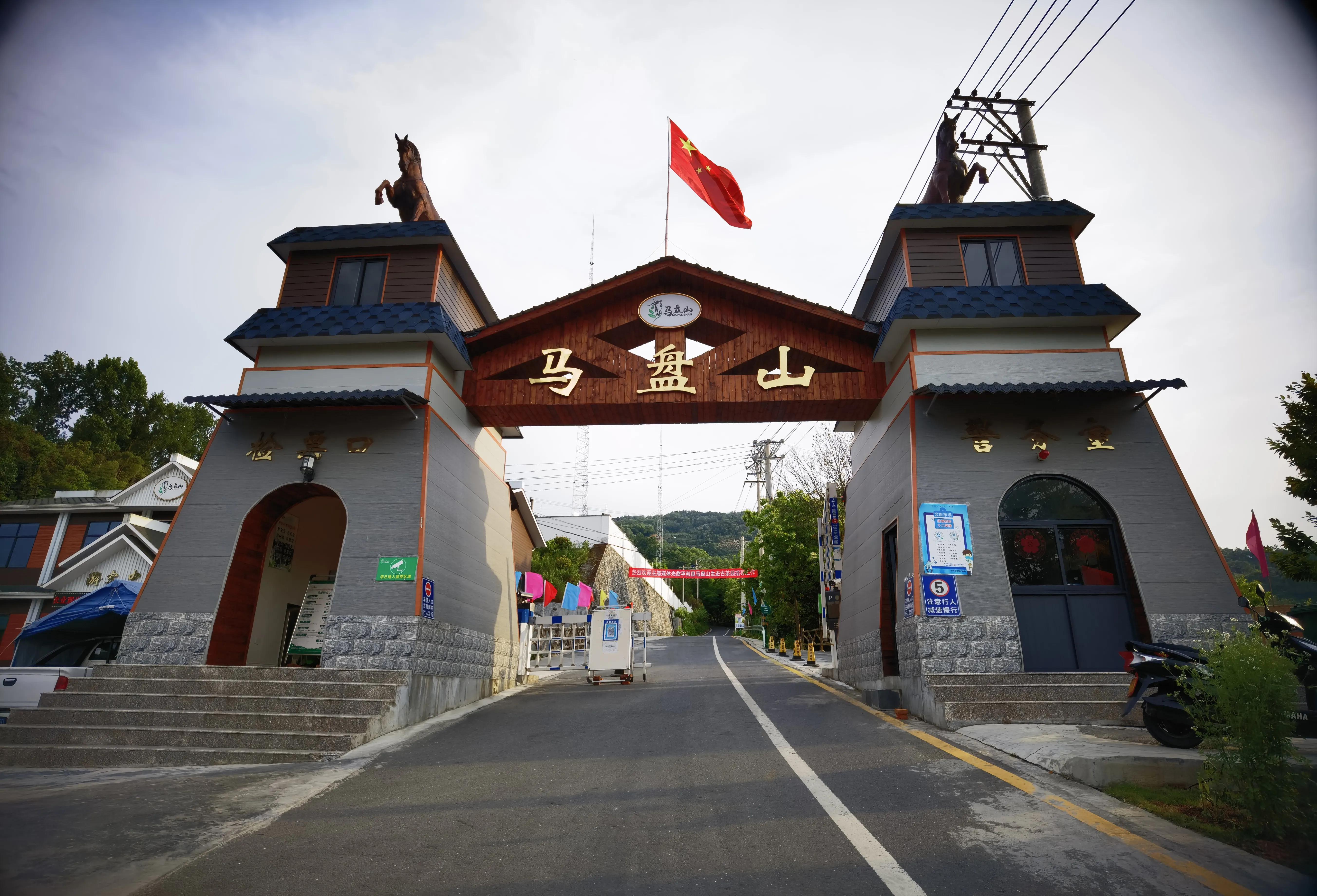 平利县富硒茶直播基地