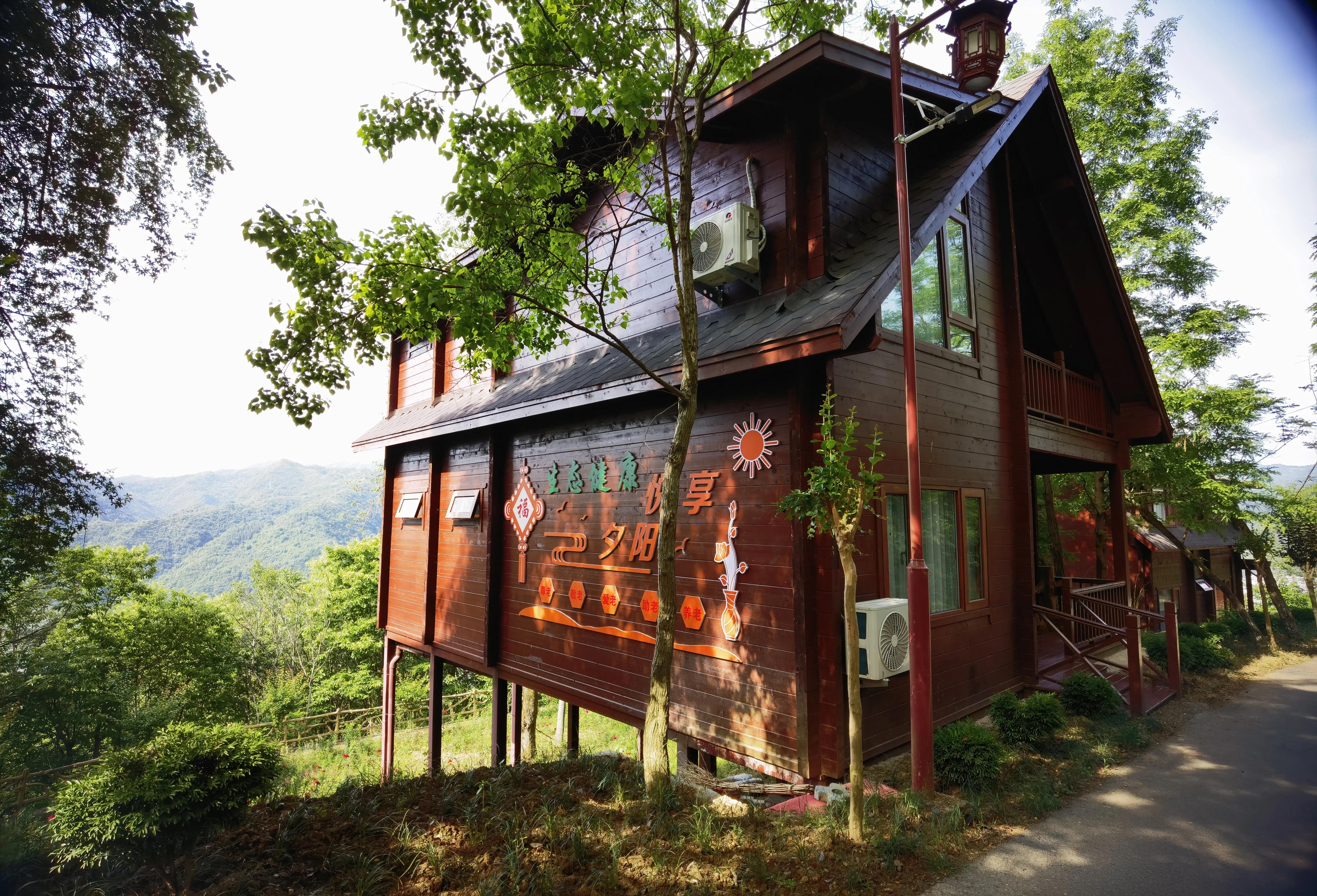 平利县富硒茶直播基地