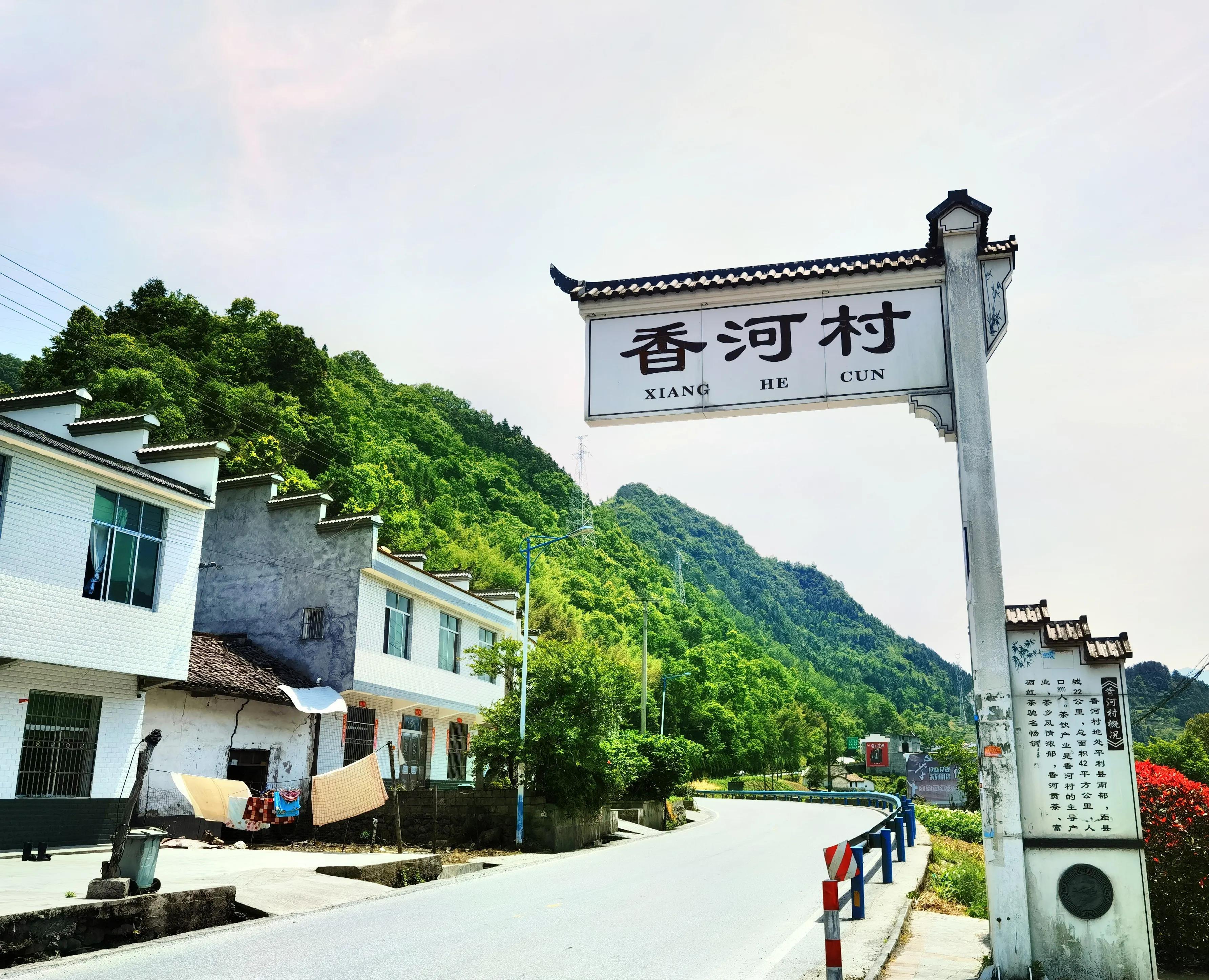 平利县富硒茶直播基地