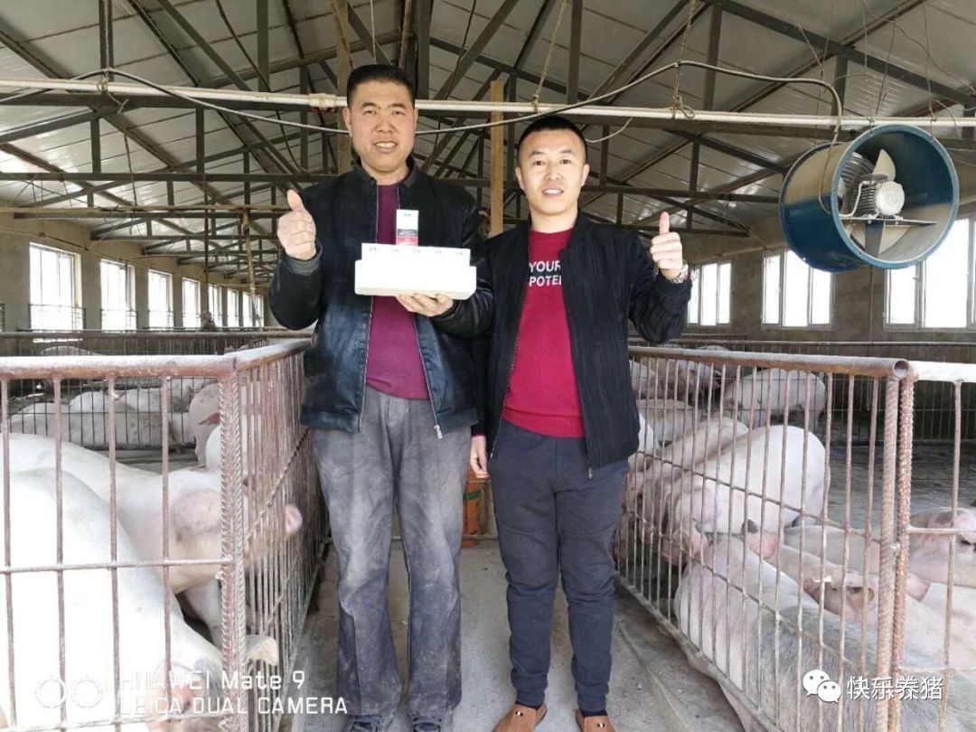 如何补铁效果最好