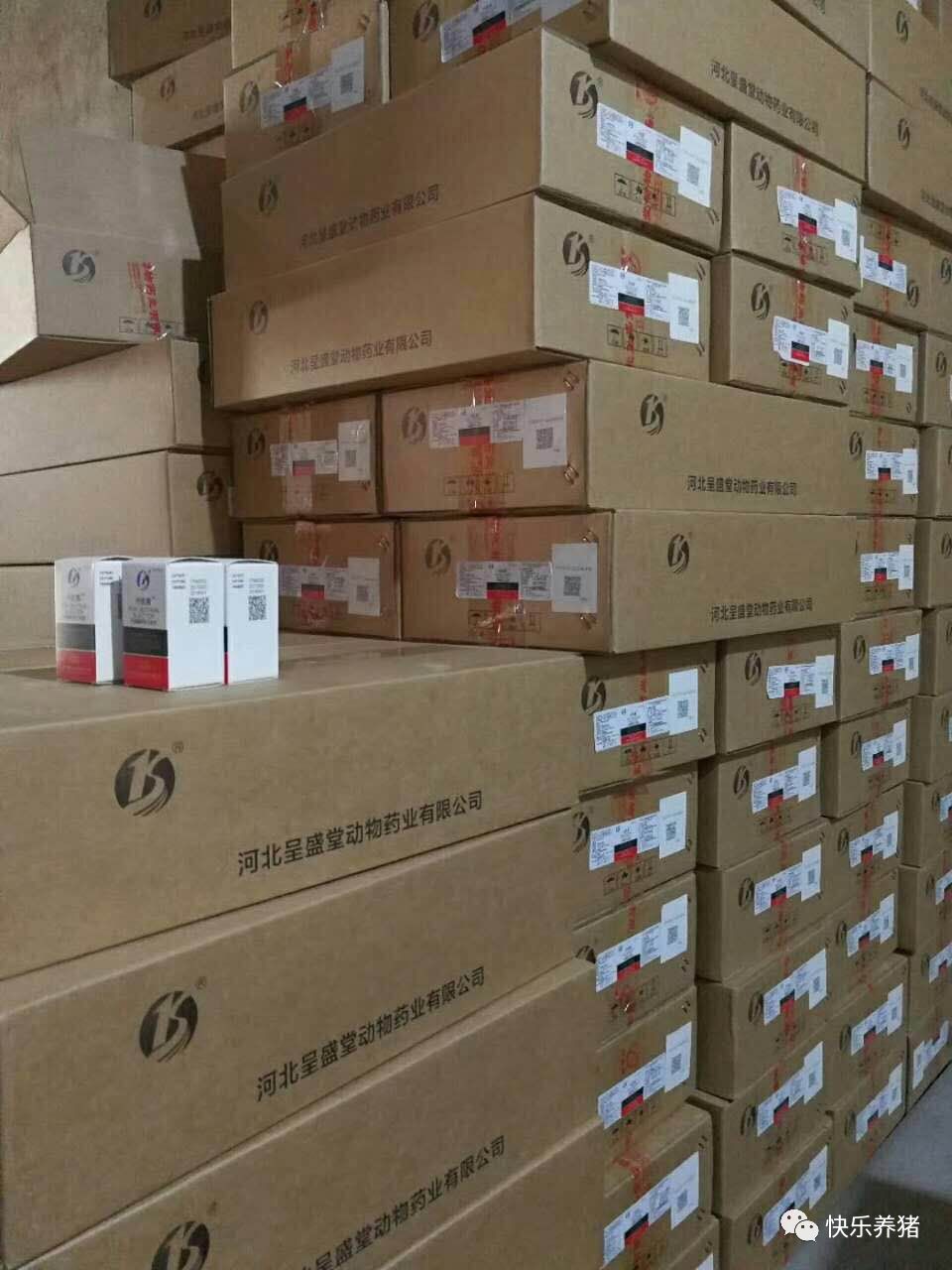 如何补铁效果最好