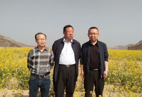 开发富硒茶的关键技术