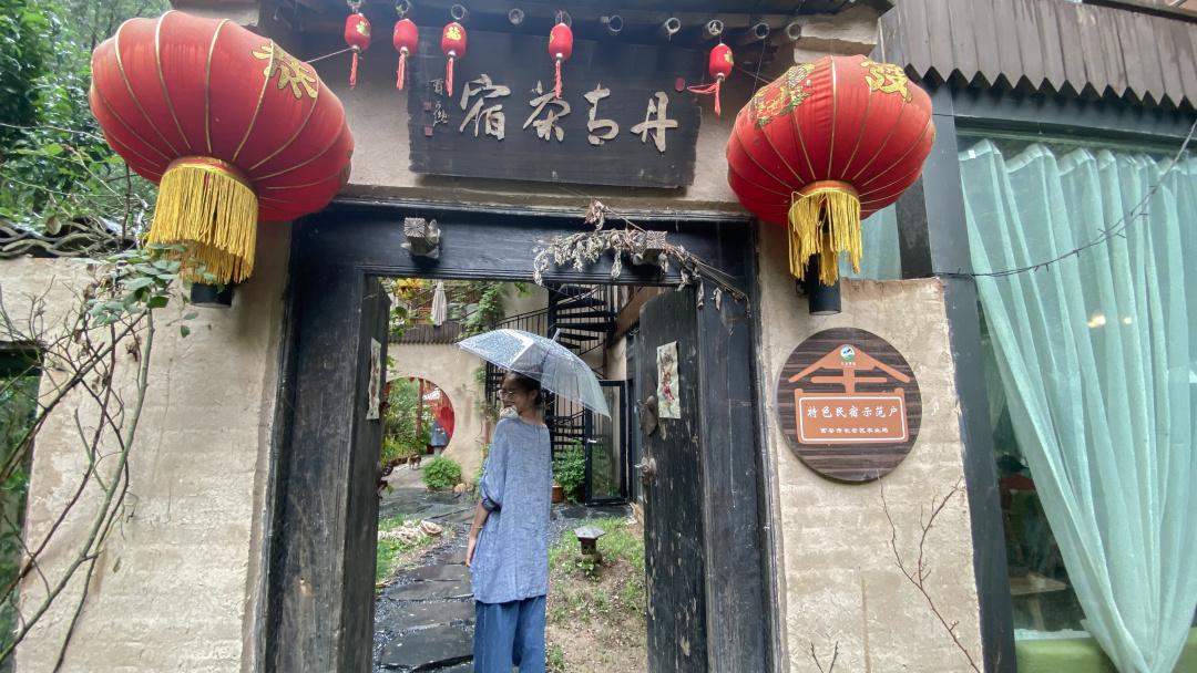紫阳富硒茶选哪家的好