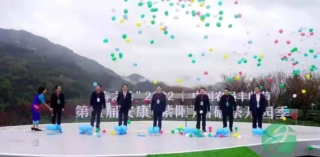 陕西紫阳县富硒茶开园