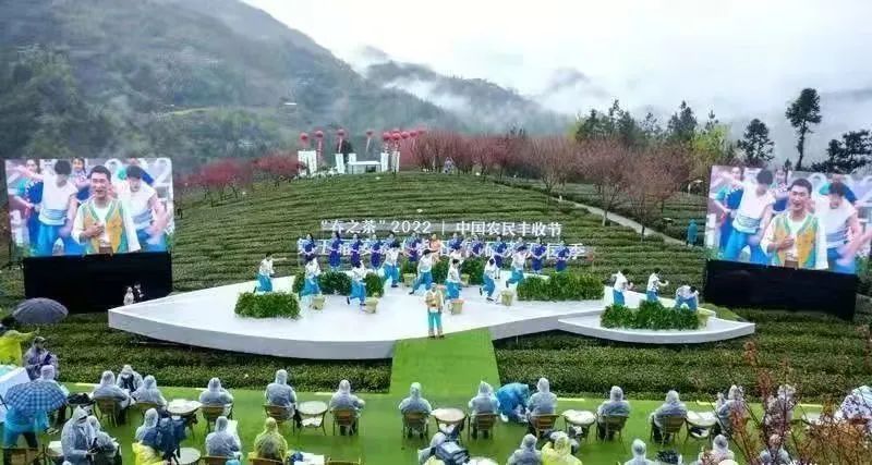 陕西紫阳县富硒茶开园