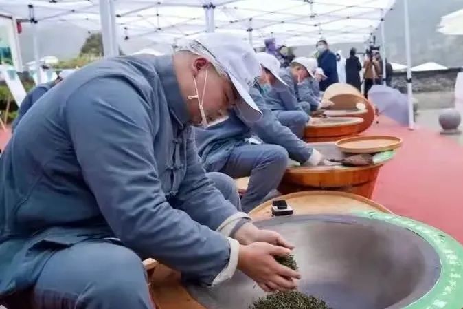 陕西紫阳县富硒茶开园