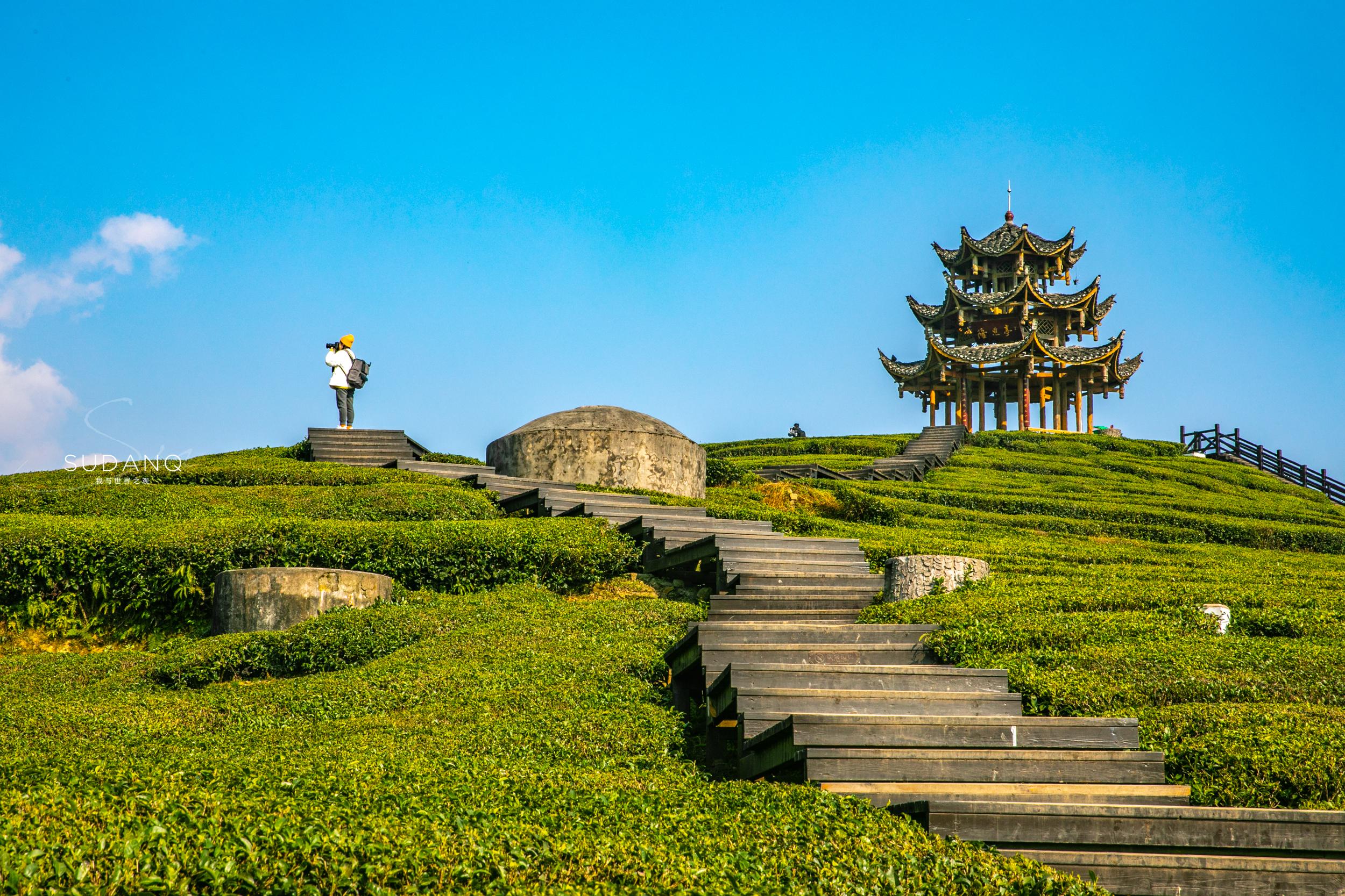 富硒茶哪个地方产的多