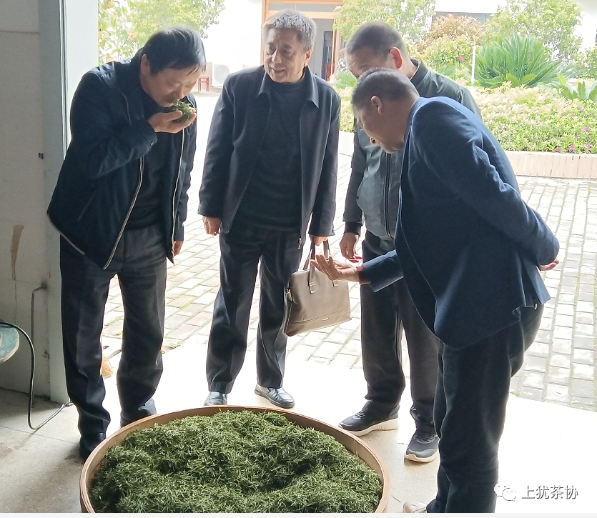 富硒茶什么牌的好喝点