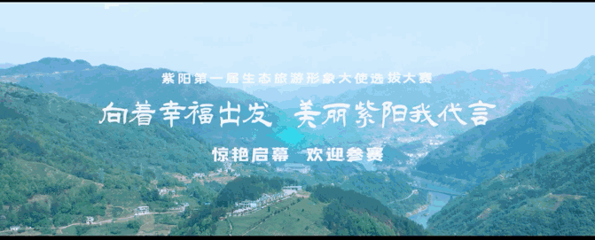 安康富硒茶白茶怎么样