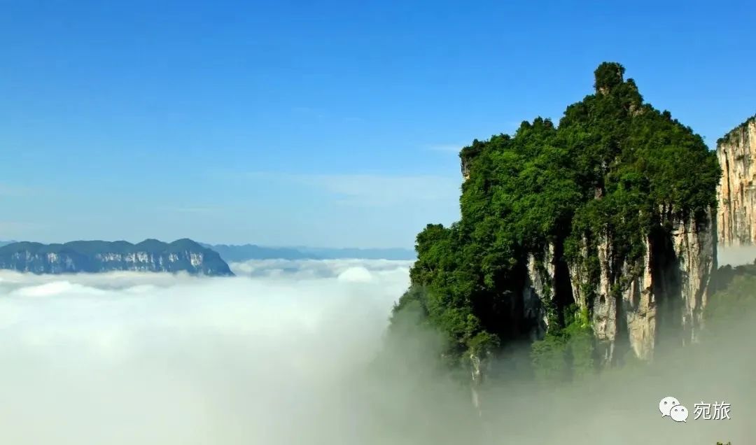孕妇能喝恩施富硒茶吗
