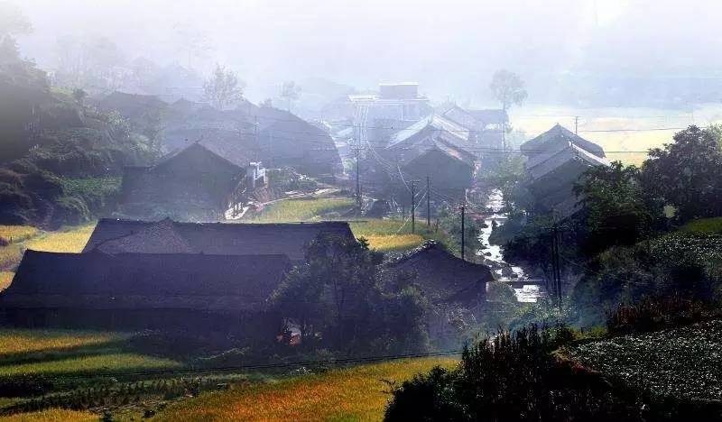富硒黑茶对血糖的影响