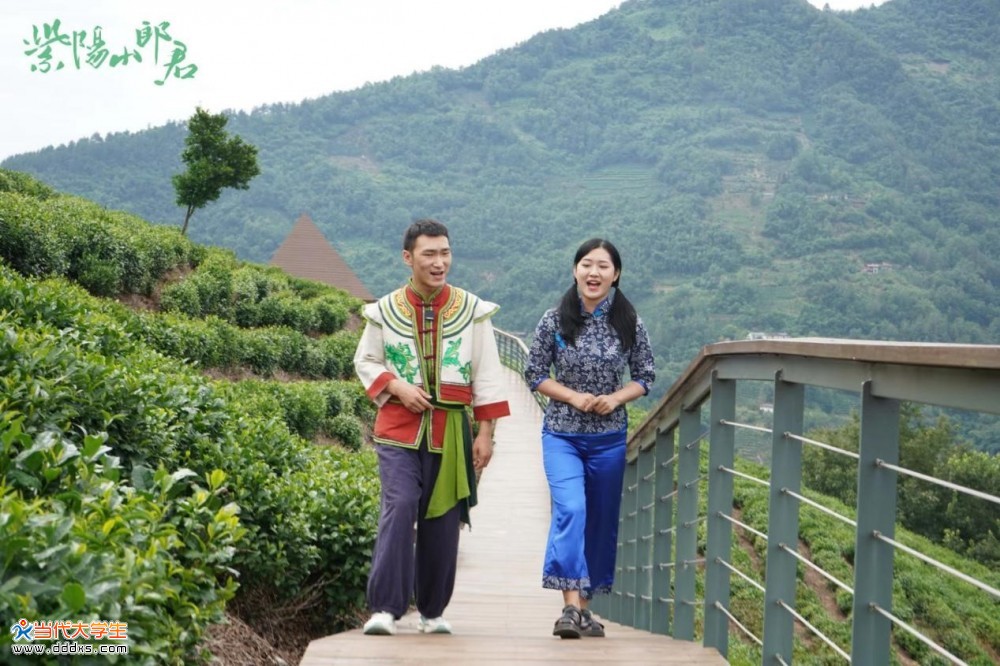 紫阳富硒茶杀青价格表