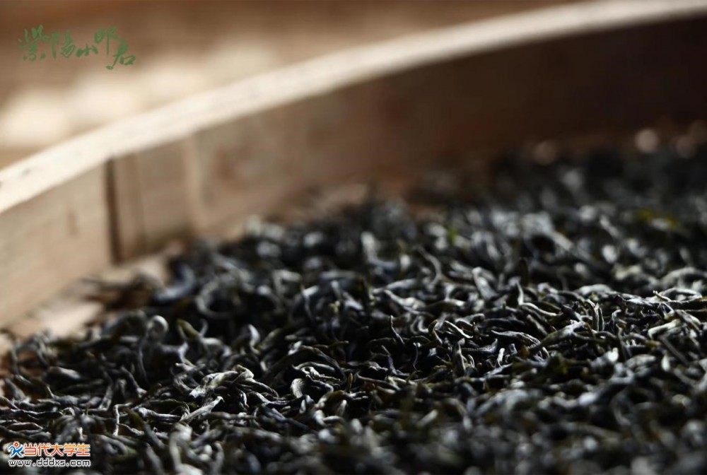 紫阳富硒茶杀青价格表