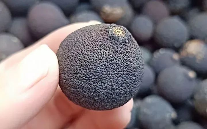 富硒茶防脱发吗怎么喝
