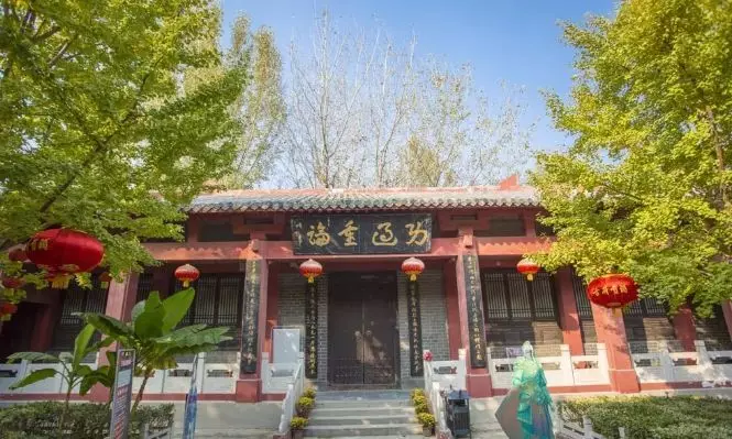 富硒茶小荷才露尖尖角