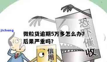 探究富硒藤茶的功效及其作用