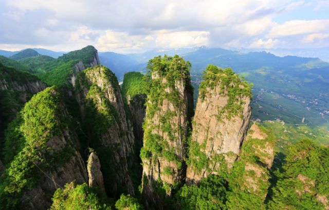 高坪富硒茶有什么功效
