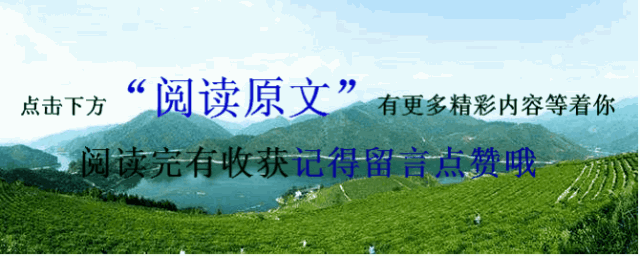长期喝富硒茶有啥好处