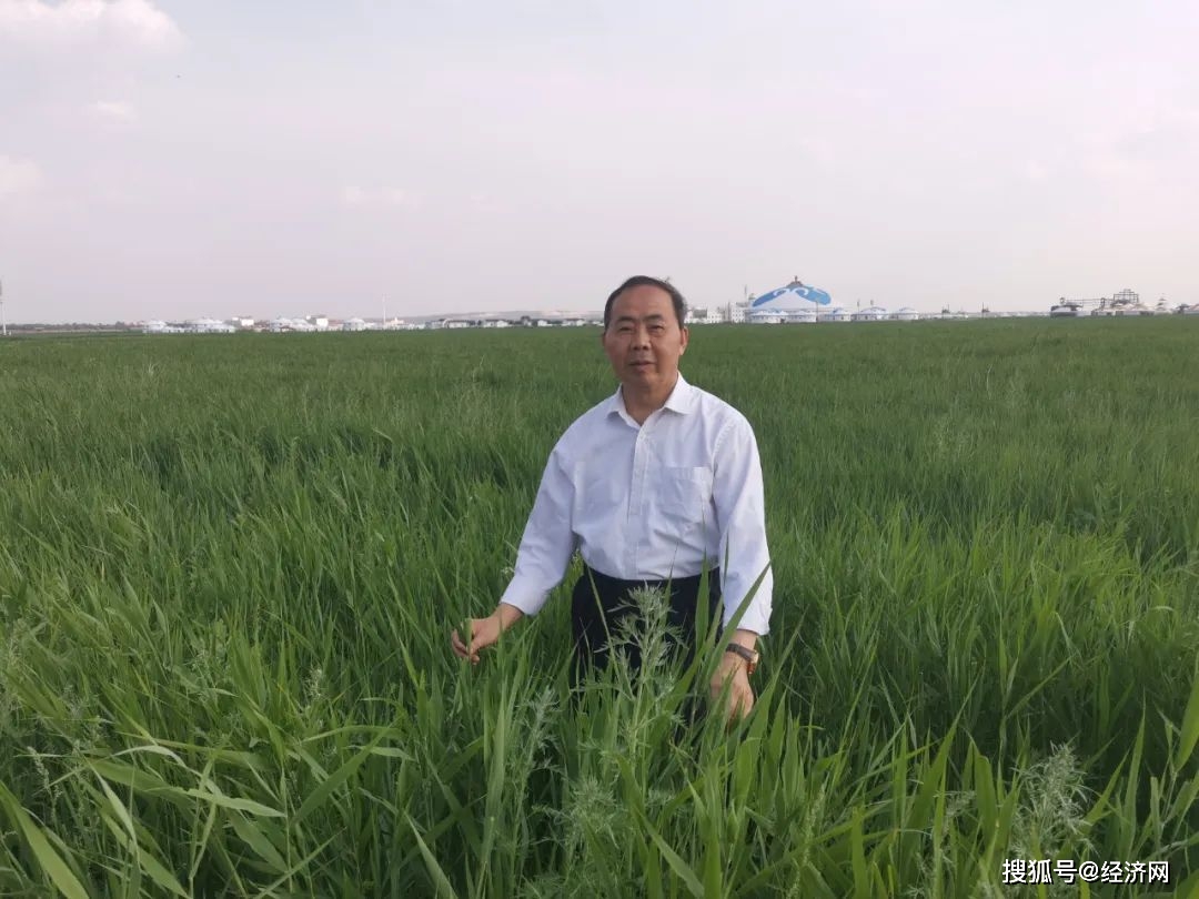 安康市富硒茶产业论文
